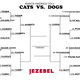 Illustration for article titled Cats vs. Dogs: The Top Seeds Have Left The Building